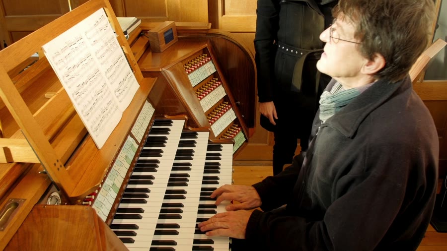 Organ